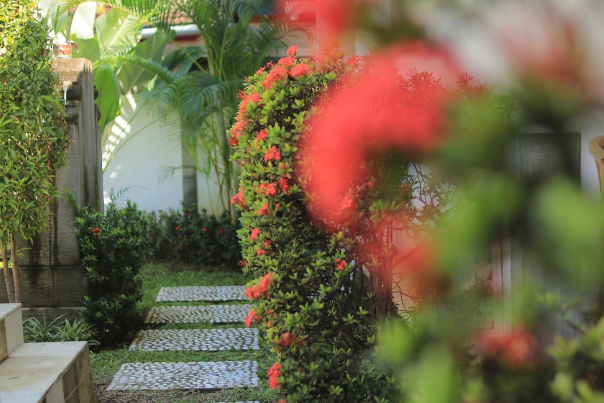 Villa Seruni Lovina Екстер'єр фото